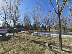 -大兴滨河森林公园