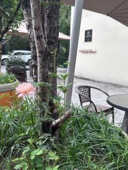-金芙美月子中心(财富别墅店)