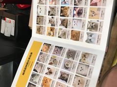 -袖虎·猫馆(体育西路店)