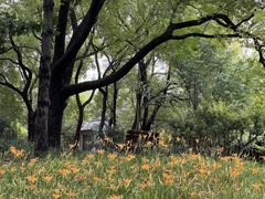 -徐家汇源景区-衡山公园