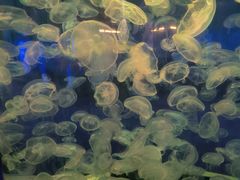 -横店影视城梦幻谷园区