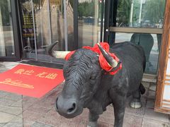 -九田家黑牛烤肉料理(珠江摩尔店)