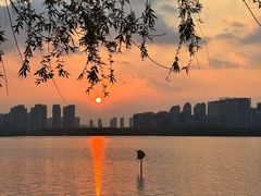 -天鹅湖体育公园