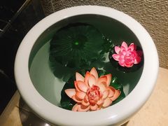 -壹号港湾