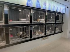 -翊宠yipet猫狗购宠庄园犬舍•猫舍