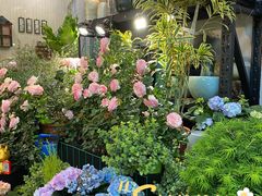 -双季花艺园艺市场(浦东店)
