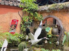 -园林美食城·本土农家菜(杨和镇店)