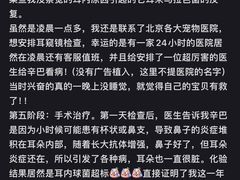 -美联众合动物医院·24h转诊中心