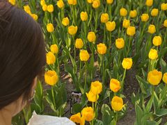 -长春公园(普阳街道)