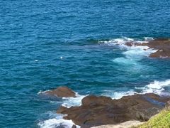 -坛南湾阿强农家乐.海鲜大排档老字号(福州地标美食店)