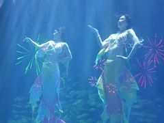 -华夏文旅海洋公园