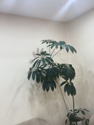 -HEYAN荷妍专业脱毛连锁机构