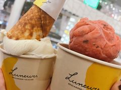 -LUNEURS月乐诗·法式冰淇淋(环贸店)