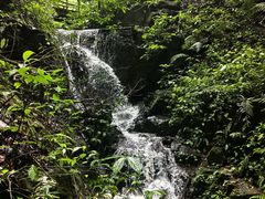 -莫里热带雨林景区