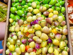 -阿山卓·野生菌火锅·纳西火塘烤肉