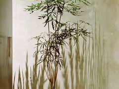 -二酉书店TOYOU BOOKS