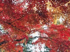 -狼山风景名胜区