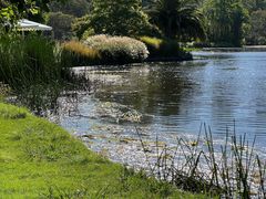 -墨尔本皇家植物园