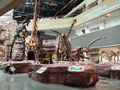 -安徽省地质博物馆