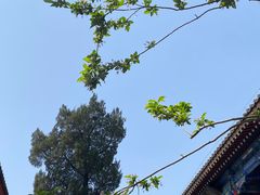 -恭王府博物馆