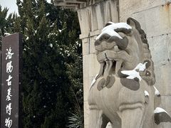 -洛阳古墓博物馆