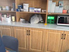 -佑安动物医院·全科·内窥镜中心(幸福巷店)