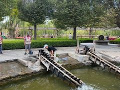 -水车博览园