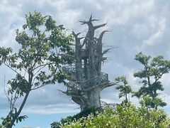 -芒洲湿地公园