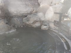-仁爱团泊湖温泉中心