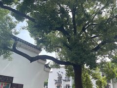-涵家味土菜馆·徽州一绝臭鳜鱼(三河古镇店)