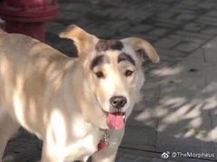 -Doors独立剧情密室(东门分店)