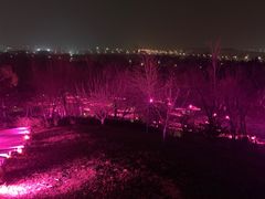 -莫子山公园