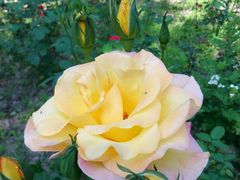 -苏州河梦清园环保主题公园