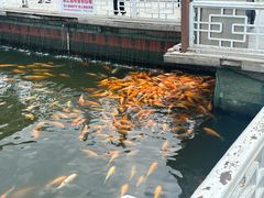 -长春市南湖公园