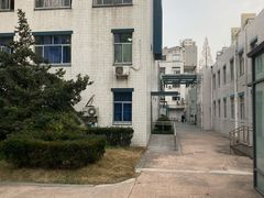 -同济大学附属同济医院分院