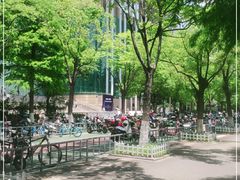 -南京中国近代史遗址博物馆(南京总统府)