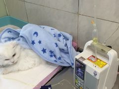 -宠颐生东兴动物医院(大悦城店)