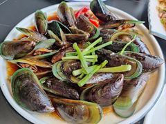 青口贝-鑫悦楼煎蟹·16年海鲜大排档
