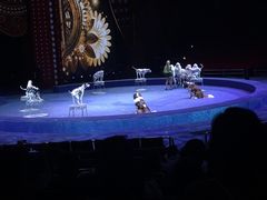 -珠海横琴长隆《卡卡虎奇遇记》