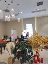 -Cindy Jewelry·钻戒·彩色宝石