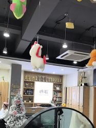 -心联形象设计·流星染