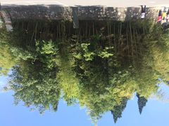 iphone_upload_pic-武当山风景区