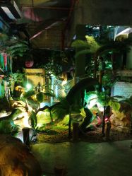 -恐龙探索乐园(磁器口店)