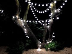 -那琴半岛地质海洋公园