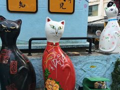 -猫咪博物馆(顶澳仔猫街店)