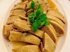 -美心皇宫(沙田大会堂店)