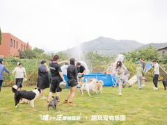 -趣玩宠物乐园寄养训犬训狗游泳池