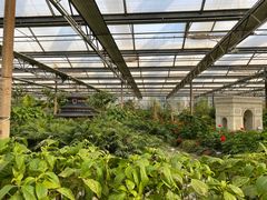 -南宫五洲植物乐园