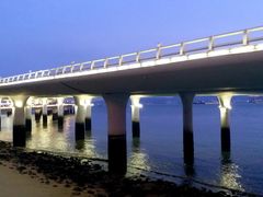 -演武大桥观景平台