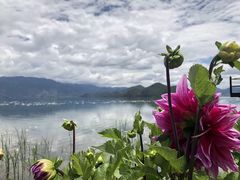 -泸沽湖里格半岛